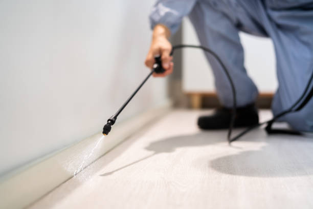 Licensed Fumigation Services service in Weaverville, CA - Nex Pest Control