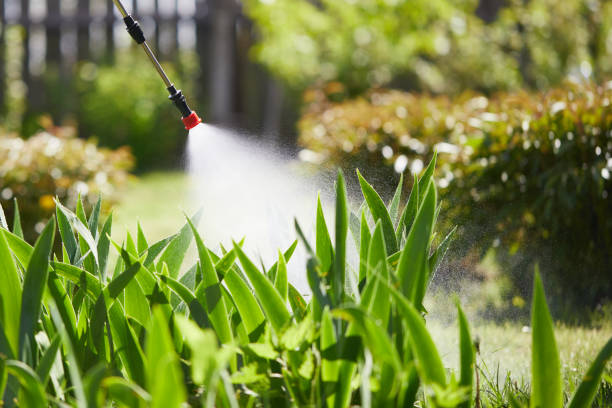 24/7 Emergency Fumigation Services experts in Weaverville, CA