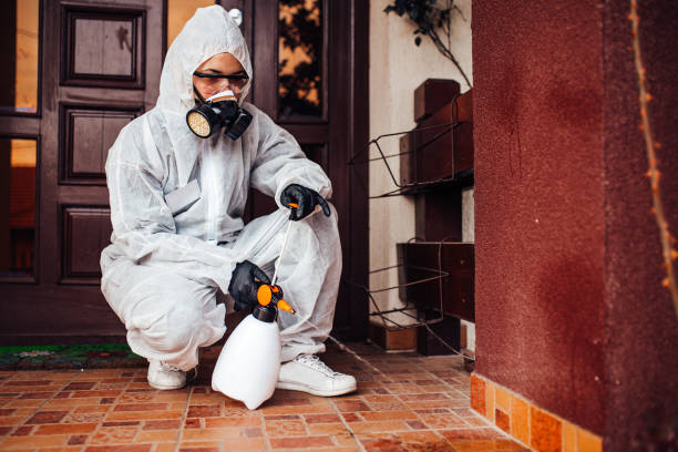 Reliable Fumigation Services contractor in Weaverville, CA by Nex Pest Control