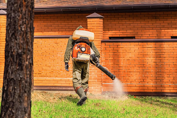 Trusted Rodent Control service in Weaverville, CA - Nex Pest Control